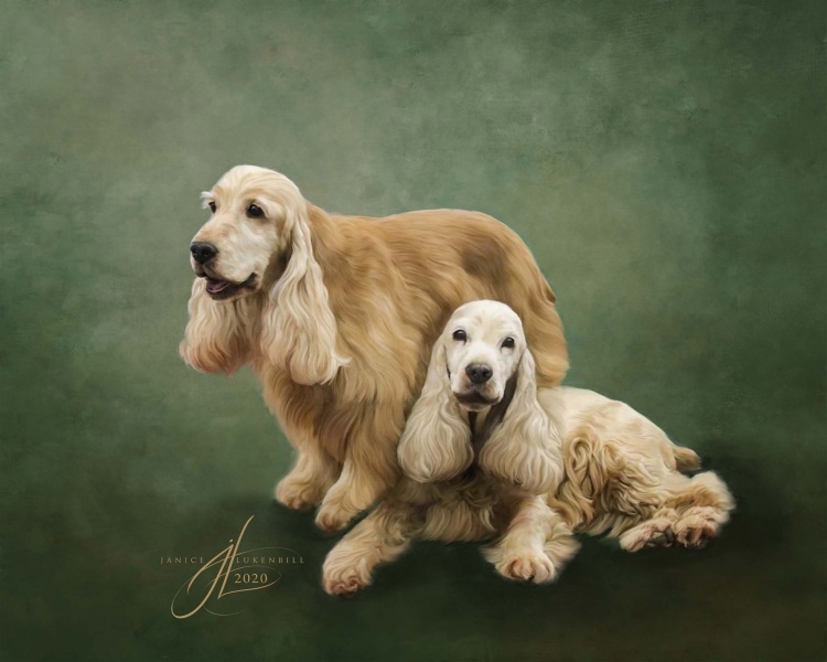 English Cocker Due painting