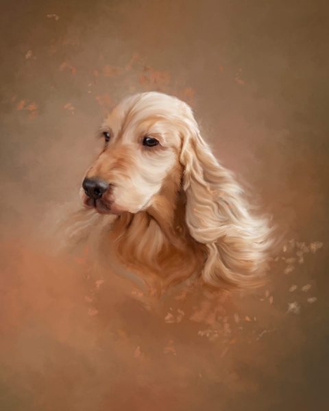 Red English Cocker painting