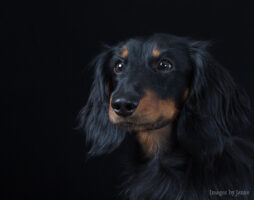 Latest photo session