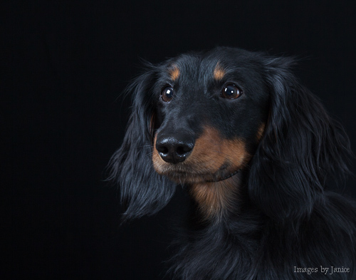 Latest photo session