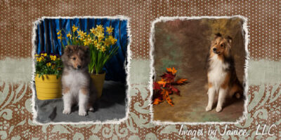 It’s been a busy fall