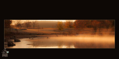 More Awards For My Pet Photography – Louisville, Kentucky