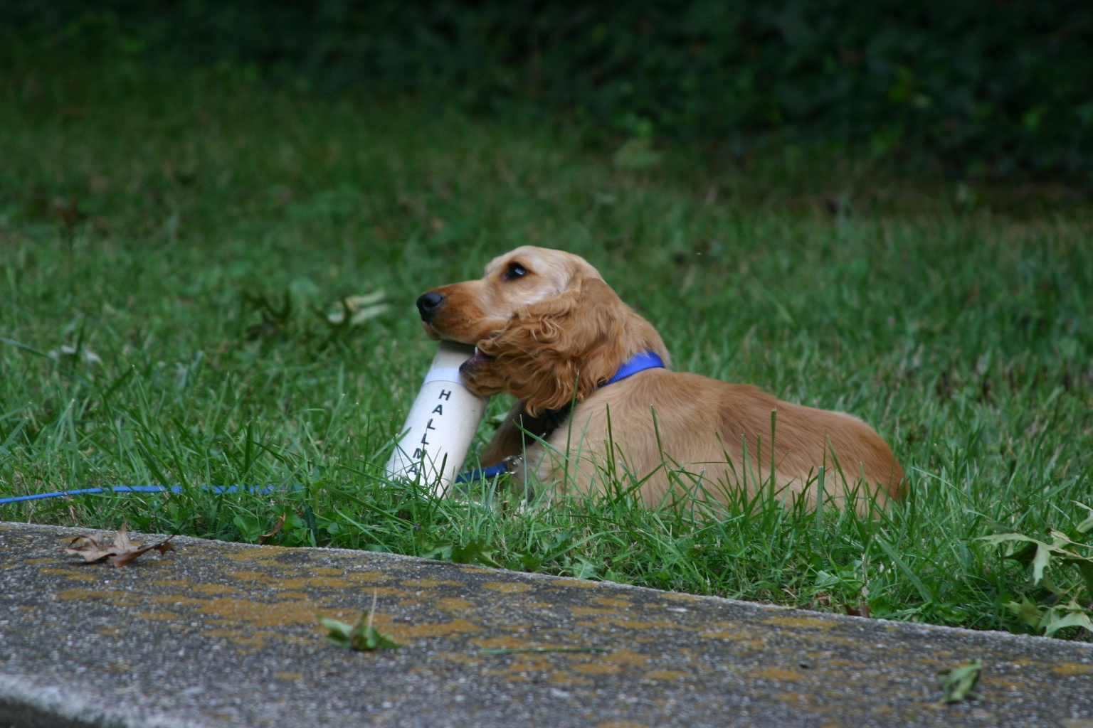 Photographs and memories…..